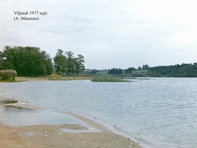 Maakond: Viljandimaa Veekogu nimi: Viljandi järv Pildistamise aeg: september 1977 Pildistaja: A. Mäemets Pildistamise koht: teadmata Asimuut: