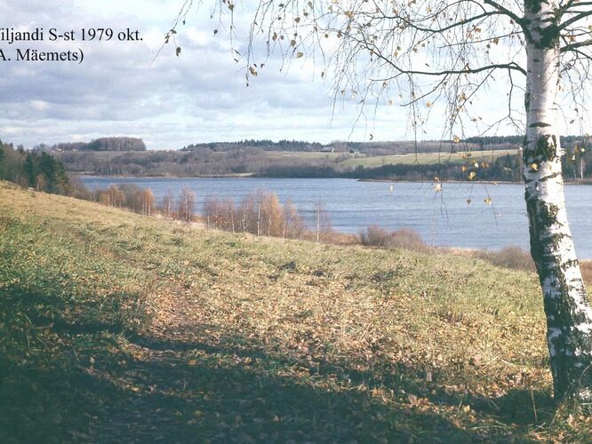 Maakond: Viljandimaa Veekogu nimi: Viljandi järv Pildistamise aeg: oktoober 1979 Pildistaja: A. Mäemets Pildistamise koht: teadmata Asimuut: