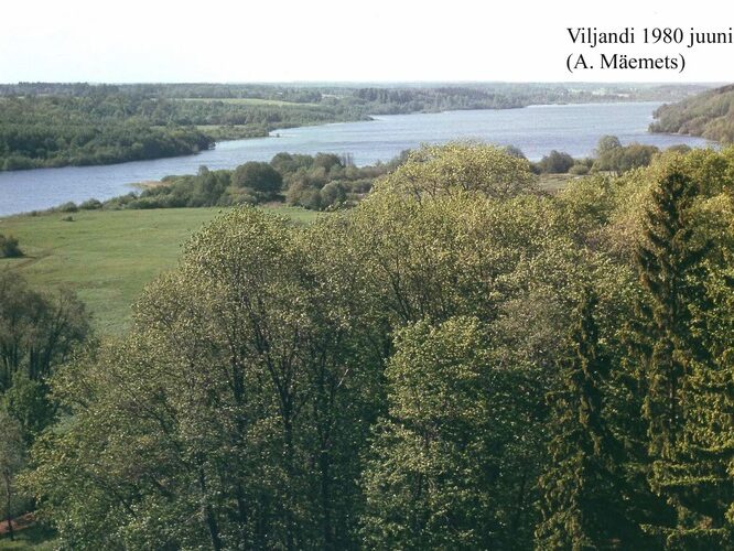 Maakond: Viljandimaa Veekogu nimi: Viljandi järv Pildistamise aeg: juuni 1980 Pildistaja: A. Mäemets Pildistamise koht: lossivaremetest Asimuut: WNW