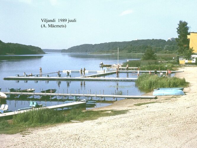 Maakond: Viljandimaa Veekogu nimi: Viljandi järv Pildistamise aeg: juuli 1989 Pildistaja: A. Mäemets Pildistamise koht: teadmata Asimuut: