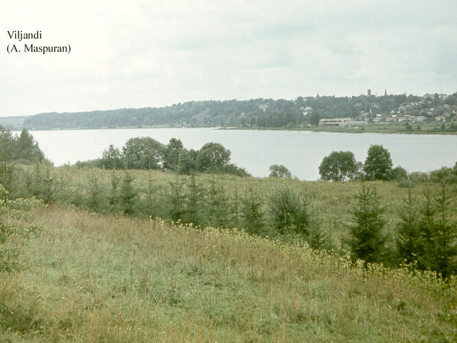 Maakond: Viljandimaa Veekogu nimi: Viljandi järv Pildistamise aeg: teadmata Pildistaja: A. Maspuran Pildistamise koht: NE kaldalt Asimuut: WNW