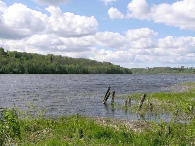 Maakond: Viljandimaa Veekogu nimi: Viljandi järv Pildistamise aeg: august 2004 Pildistaja: H. Timm Pildistamise koht: teadmata Asimuut: