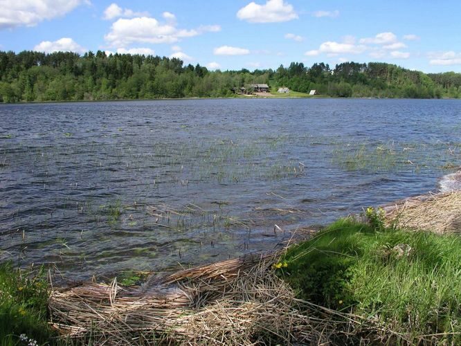 Maakond: Viljandimaa Veekogu nimi: Viljandi järv Pildistamise aeg: 21. mai 2004 Pildistaja: H. Timm Pildistamise koht: Sammuli Asimuut: