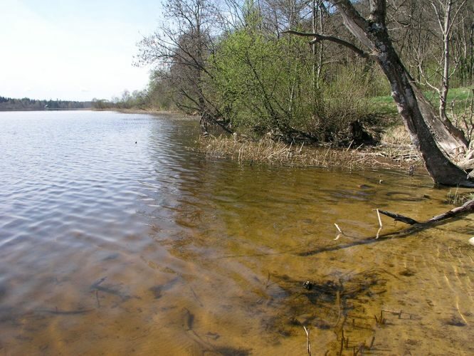 Maakond: Viljandimaa Veekogu nimi: Viljandi järv Pildistamise aeg: 12. mai 2005 Pildistaja: H. Timm Pildistamise koht: teadmata Asimuut: