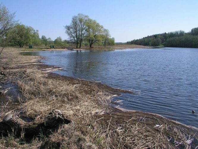 Maakond: Viljandimaa Veekogu nimi: Viljandi järv Pildistamise aeg: 10. mai 2006 Pildistaja: H. Timm Pildistamise koht: Valuoja suudmest Asimuut: