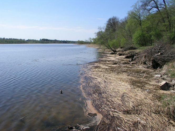 Maakond: Viljandimaa Veekogu nimi: Viljandi järv Pildistamise aeg: 10. mai 2006 Pildistaja: H. Timm Pildistamise koht: Valuoja suudmest W Asimuut: