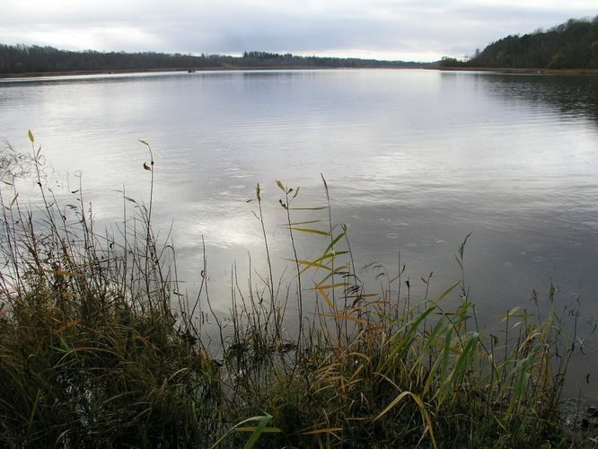 Maakond: Viljandimaa Veekogu nimi: Viljandi järv Pildistamise aeg: 2. november 2008 Pildistaja: H. Timm Pildistamise koht: Valuoja suue Asimuut: