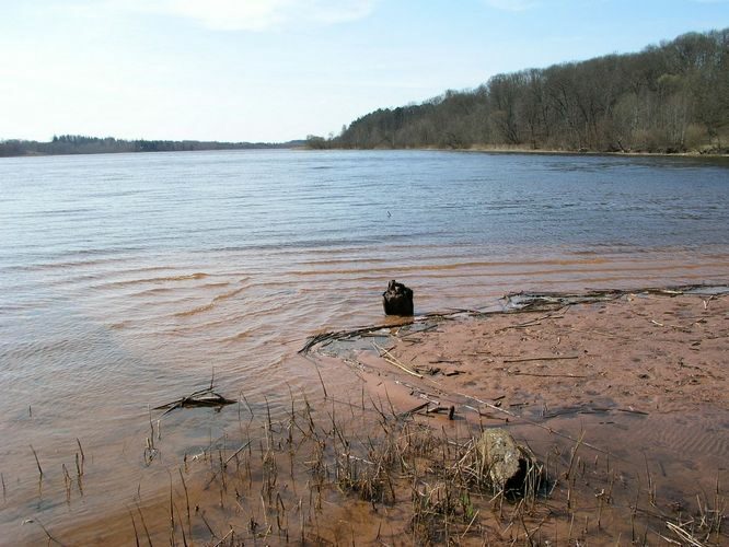 Maakond: Viljandimaa Veekogu nimi: Viljandi järv Pildistamise aeg: 25. aprill 2009 Pildistaja: H. Timm Pildistamise koht: teadmata Asimuut: