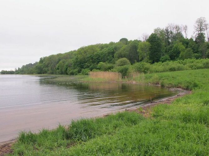 Maakond: Viljandimaa Veekogu nimi: Viljandi järv Pildistamise aeg: 27. mai 2010 Pildistaja: H. Timm Pildistamise koht: Valuoja Asimuut: