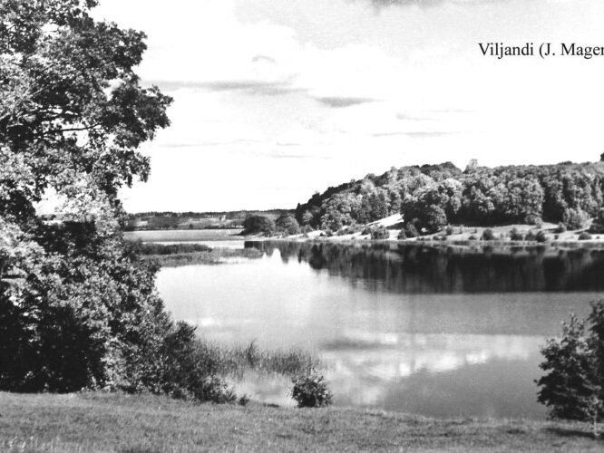 Maakond: Viljandimaa Veekogu nimi: Viljandi järv Pildistamise aeg: teadmata Pildistaja: J. Mager (Eesti Looduse arhiiv) Pildistamise koht: teadmata Asimuut: