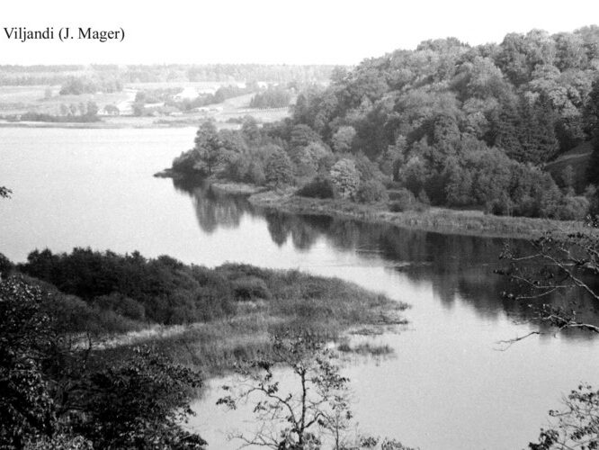 Maakond: Viljandimaa Veekogu nimi: Viljandi järv Pildistamise aeg: teadmata Pildistaja: J. Mager (Eesti Looduse arhiiv) Pildistamise koht: teadmata Asimuut: