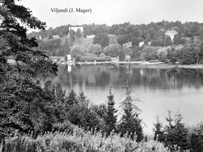 Maakond: Viljandimaa Veekogu nimi: Viljandi järv Pildistamise aeg: teadmata Pildistaja: J. Mager (Eesti Looduse arhiiv) Pildistamise koht: teadmata Asimuut: