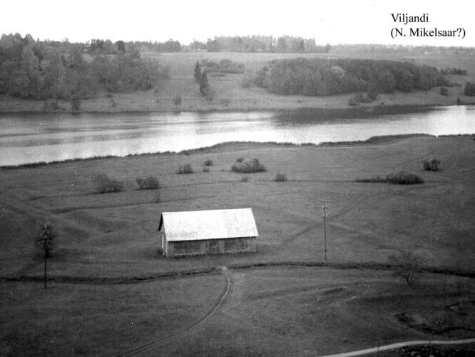 Maakond: Viljandimaa Veekogu nimi: Viljandi järv Pildistamise aeg: august 2004 Pildistaja: H. Timm Pildistamise koht: teadmata Asimuut: