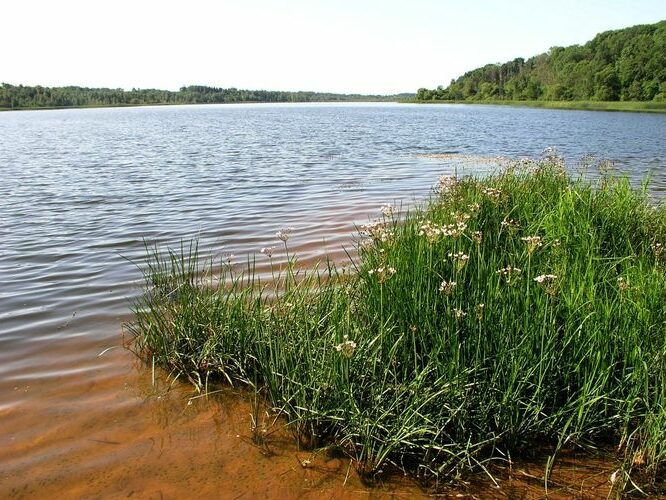 Maakond: Viljandimaa Veekogu nimi: Viljand järv Valuoja suudmest Pildistamise aeg: 25. aprill 2009 Pildistaja: H. Timm Pildistamise koht: teadmata Asimuut: