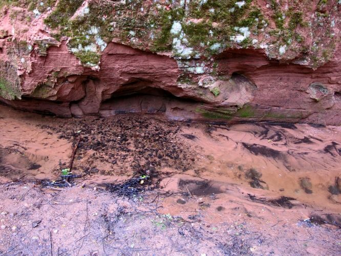 Maakond: Viljandimaa Veekogu nimi: Viraski oja Pildistamise aeg: 20. august 2012 Pildistaja: H. Timm Pildistamise koht: Loodi põrgu Asimuut: