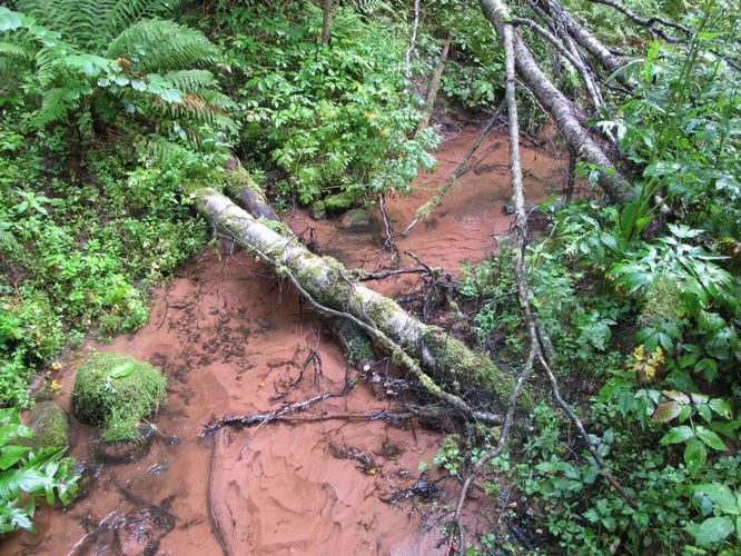 Maakond: Viljandimaa Veekogu nimi: Viraski oja Pildistamise aeg: 20. august 2012 Pildistaja: H. Timm Pildistamise koht: Loodi põrgu Asimuut: