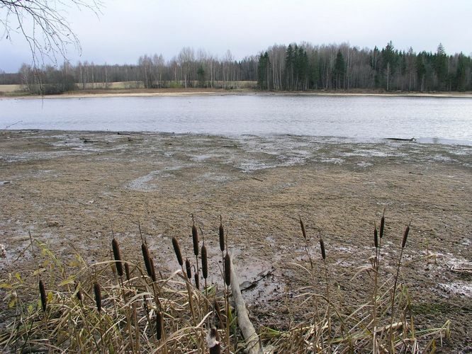 Maakond: Võrumaa Veekogu nimi: Visela jõgi Pildistamise aeg: 1. november 2008 Pildistaja: H. Timm Pildistamise koht: Visela veehoidla Asimuut: