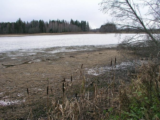 Maakond: Võrumaa Veekogu nimi: Visela jõgi Pildistamise aeg: 1. november 2008 Pildistaja: H. Timm Pildistamise koht: Visela veehoidla Asimuut: