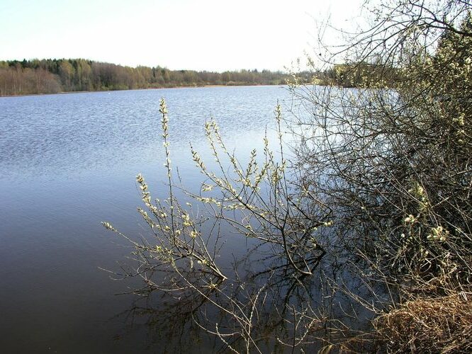 Maakond: Võrumaa Veekogu nimi: Visela jõgi Pildistamise aeg: 2. mai 2009 Pildistaja: H. Timm Pildistamise koht: Punde paisjärv Asimuut: