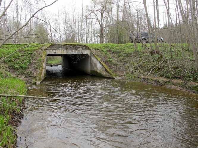 Maakond: Valgamaa Veekogu nimi: Visela jõgi Pildistamise aeg: 29. aprill 2012 Pildistaja: H. Timm Pildistamise koht: Lauküla Asimuut: