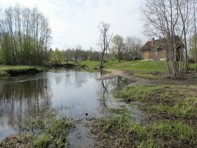 Maakond: Võrumaa Veekogu nimi: Võhandu jõgi Pildistamise aeg: 3. mai 2011 Pildistaja: H. Timm Pildistamise koht: Sõmerpalu Asimuut: