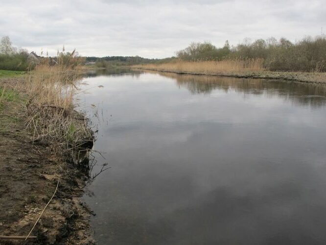 Maakond: Võrumaa Veekogu nimi: Võhandu jõgi Pildistamise aeg: 4. mai 2011 Pildistaja: H. Timm Pildistamise koht: Kirumpää Asimuut: