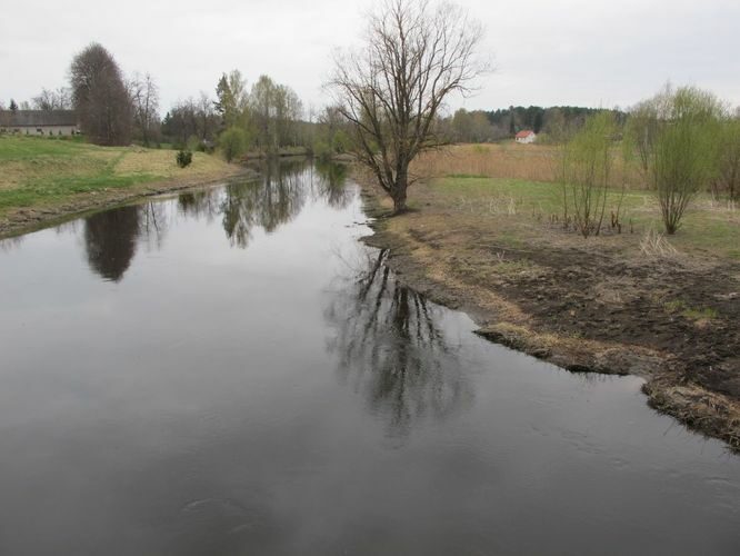 Maakond: Võrumaa Veekogu nimi: Võhandu jõgi Pildistamise aeg: 4. mai 2011 Pildistaja: H. Timm Pildistamise koht: Kääpa Asimuut: