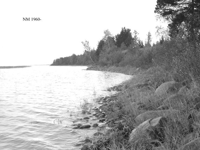 Maakond: Valgamaa Veekogu nimi: Võrtsjärv Pildistamise aeg: teadmata Pildistaja: N. Mikelsaar Pildistamise koht: teadmata Asimuut: