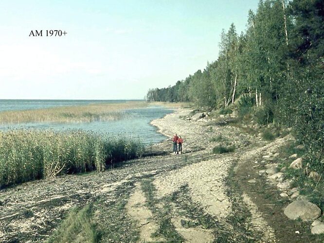 Maakond: Valgamaa Veekogu nimi: Võrtsjärv Pildistamise aeg: teadmata Pildistaja: A. Mäemets Pildistamise koht: teadmata Asimuut: