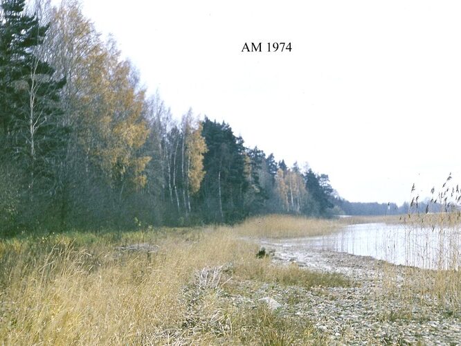 Maakond: Valgamaa Veekogu nimi: Võrtsjärv Pildistamise aeg: teadmata Pildistaja: A. Mäemets Pildistamise koht: teadmata Asimuut: