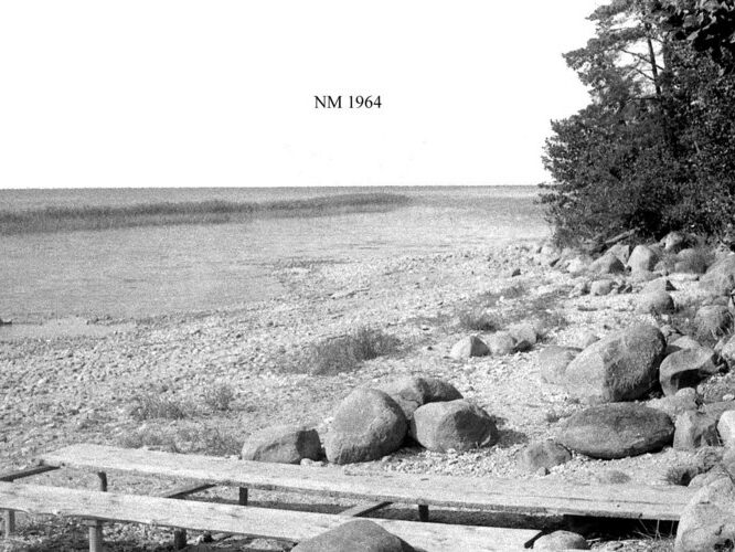 Maakond: Valgamaa Veekogu nimi: Võrtsjärv Pildistamise aeg: 1964 Pildistaja: N. Mikelsaar Pildistamise koht: teadmata Asimuut: