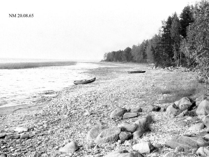 Maakond: Valgamaa Veekogu nimi: Võrtsjärv Pildistamise aeg: 20. august 1965 Pildistaja: N. Mikelsaar Pildistamise koht: teadmata Asimuut: