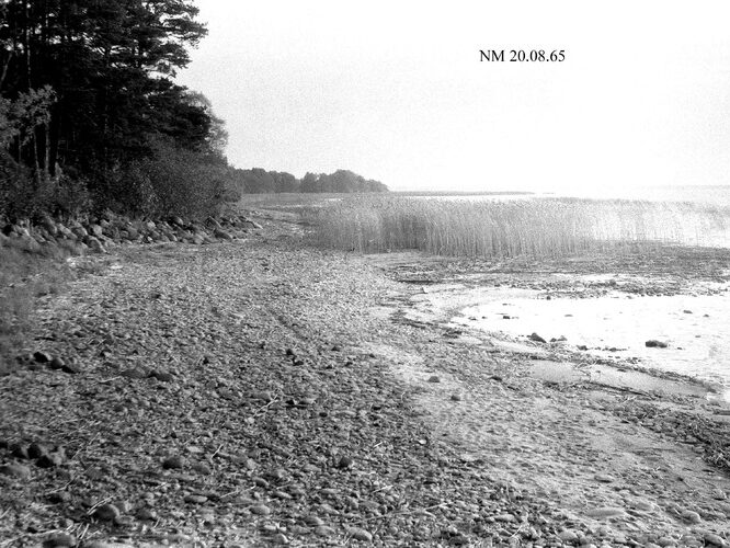 Maakond: Valgamaa Veekogu nimi: Võrtsjärv Pildistamise aeg: 20. august 1965 Pildistaja: N. Mikelsaar Pildistamise koht: teadmata Asimuut: