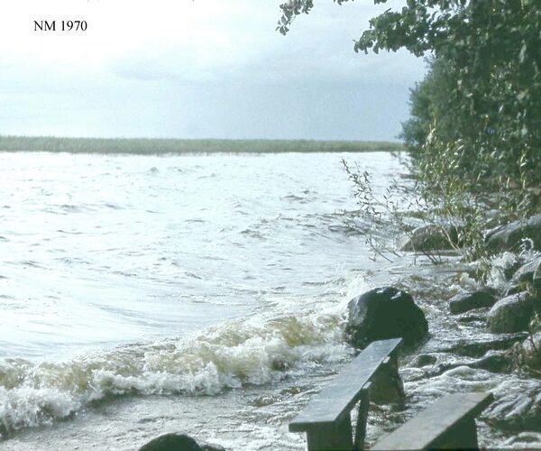Maakond: Valgamaa Veekogu nimi: Võrtsjärv Pildistamise aeg: 1970 Pildistaja: N. Mikelsaar Pildistamise koht: teadmata Asimuut: