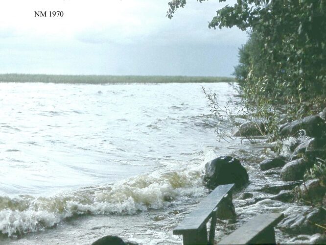 Maakond: Valgamaa Veekogu nimi: Võrtsjärv Pildistamise aeg: 1970 Pildistaja: N. Mikelsaar Pildistamise koht: teadmata Asimuut: