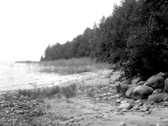 Maakond: Valgamaa Veekogu nimi: Võrtsjärv Pildistamise aeg: 1970 Pildistaja: H. Haberman Pildistamise koht: teadmata Asimuut: