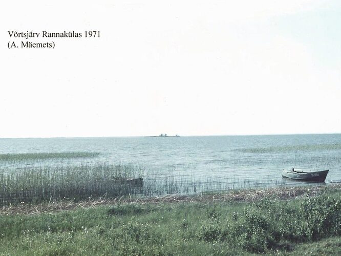 Maakond: Valgamaa Veekogu nimi: Võrtsjärv Pildistamise aeg: 1971 Pildistaja: A. Mäemets Pildistamise koht: teadmata Asimuut: