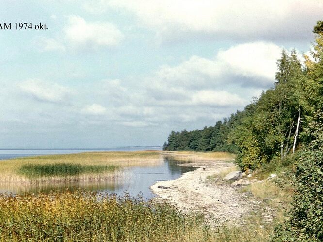 Maakond: Valgamaa Veekogu nimi: Võrtsjärv Pildistamise aeg: oktoober 1974 Pildistaja: A. Mäemets Pildistamise koht: teadmata Asimuut: