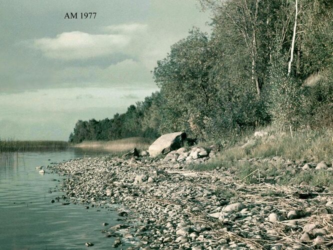 Maakond: Valgamaa Veekogu nimi: Võrtsjärv Pildistamise aeg: 1977 Pildistaja: A. Mäemets Pildistamise koht: teadmata Asimuut: