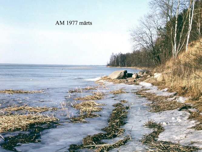 Maakond: Valgamaa Veekogu nimi: Võrtsjärv Pildistamise aeg: 1977 Pildistaja: A. Mäemets Pildistamise koht: teadmata Asimuut: