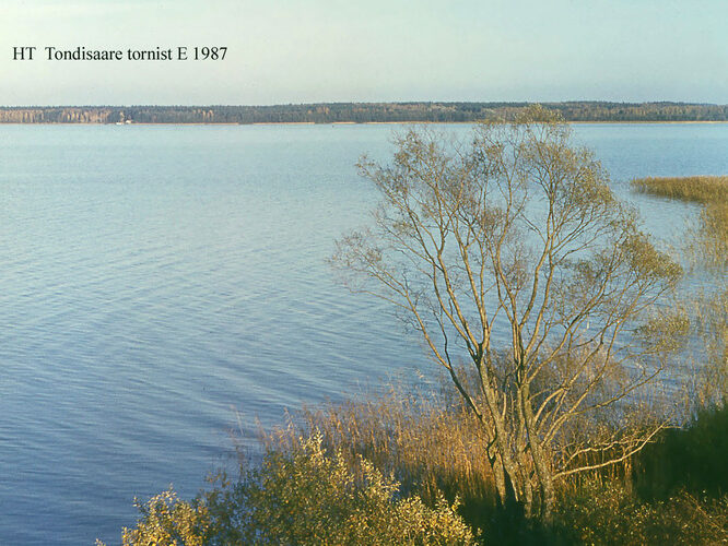 Maakond: Valgamaa Veekogu nimi: Võrtsjärv Pildistamise aeg: 1985 Pildistaja: H. Timm Pildistamise koht: teadmata Asimuut: