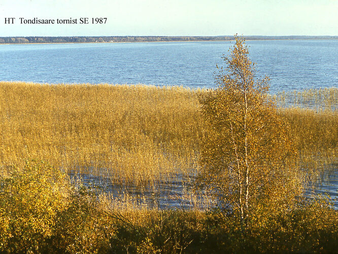 Maakond: Valgamaa Veekogu nimi: Võrtsjärv Pildistamise aeg: 1985 Pildistaja: H. Timm Pildistamise koht: teadmata Asimuut: