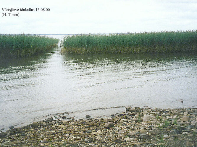 Maakond: Valgamaa Veekogu nimi: Võrtsjärv Pildistamise aeg: 2000 Pildistaja: H. Timm Pildistamise koht: teadmata Asimuut: