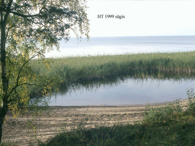 Maakond: Valgamaa Veekogu nimi: Võrtsjärv Pildistamise aeg: 2000 Pildistaja: H. Timm Pildistamise koht: teadmata Asimuut: