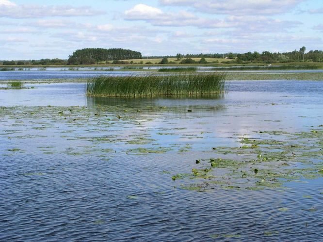 Maakond: Valgamaa Veekogu nimi: Võrtsjärv Pildistamise aeg: 1. september 2003 Pildistaja: H. Timm Pildistamise koht: teadmata Asimuut: