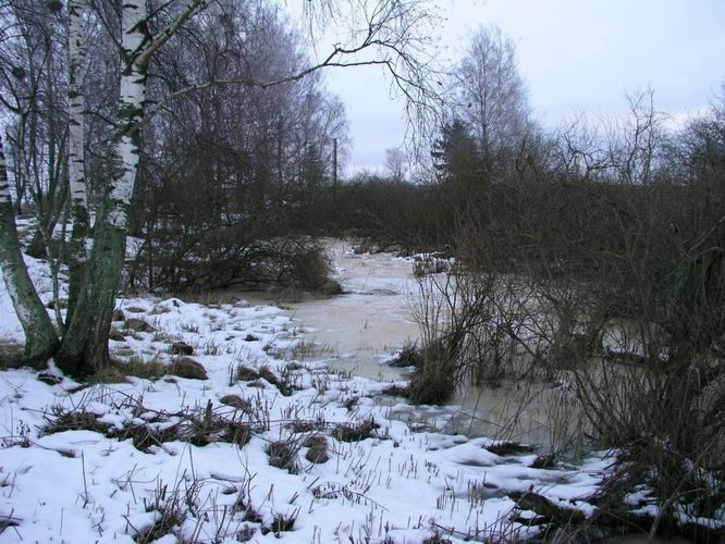 Maakond: Viljandimaa Veekogu nimi: Võrtsjärv Pildistamise aeg: 1. jaanuar 2005 Pildistaja: H. Timm Pildistamise koht: teadmata Asimuut: