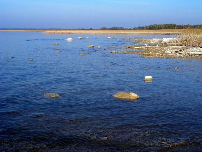 Maakond: Viljandimaa Veekogu nimi: Võrtsjärv Pildistamise aeg: 12. oktoober 2005 Pildistaja: H. Timm Pildistamise koht: Vanausse Asimuut: