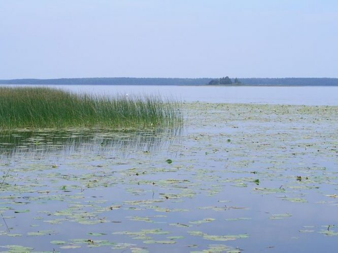 Maakond: Viljandimaa Veekogu nimi: Võrtsjärv Pildistamise aeg: august 2005 Pildistaja: H. Timm Pildistamise koht: Õhne jõe suudmest Asimuut: