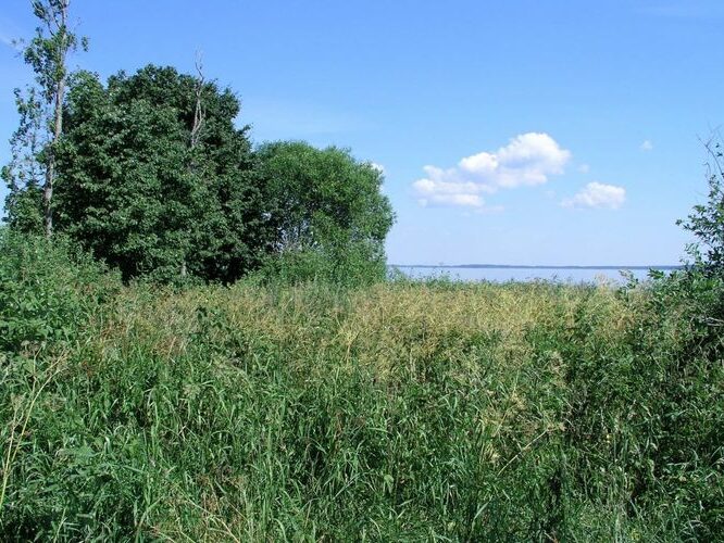 Maakond: Viljandimaa Veekogu nimi: Võrtsjärv Pildistamise aeg: 10. juuli 2005 Pildistaja: H. Timm Pildistamise koht: teadmata Asimuut: