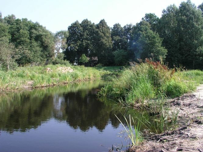 Maakond: Valgamaa Veekogu nimi: Võrtsjärv Pildistamise aeg: august 2005 Pildistaja: H. Timm Pildistamise koht: Pähksaar Asimuut: